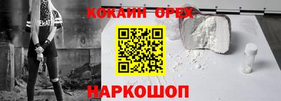 мет Можга