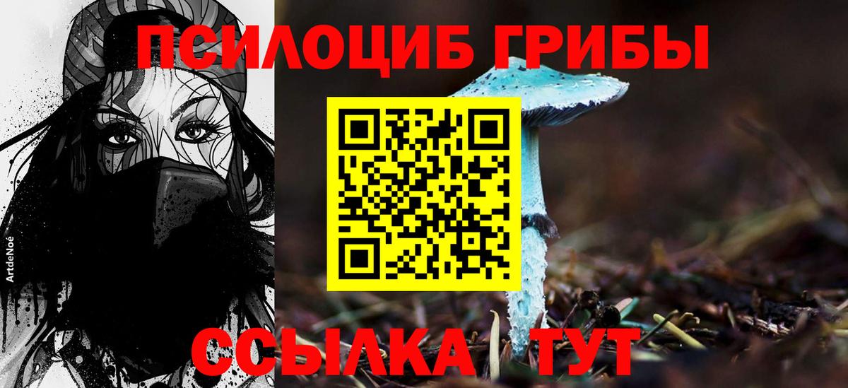 Фролово  Галлюциногенные грибы ЛСД  Вход с VPN  Псилоцибиновые грибы ЛСД 