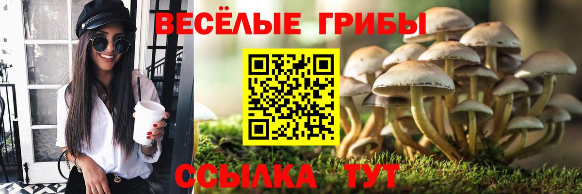 Галлюциногенные грибы мухоморы Фролово